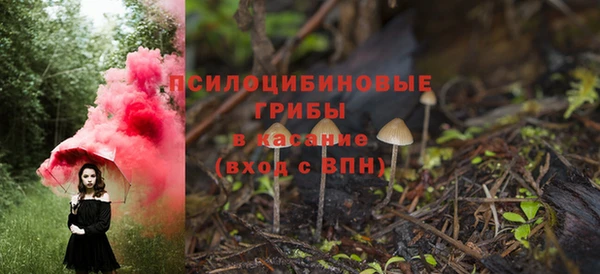 спайс Белокуриха